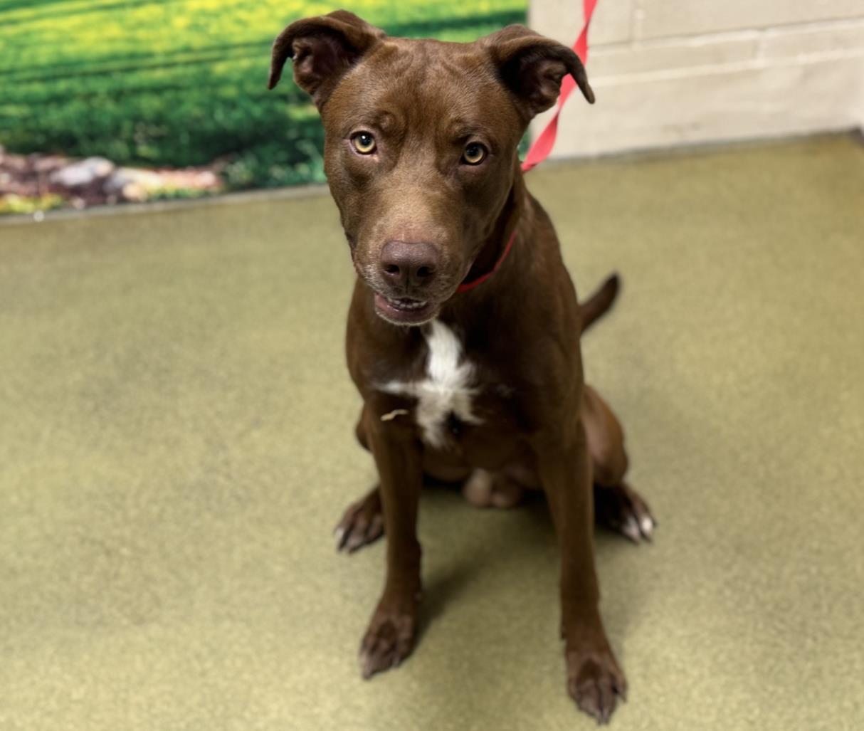 SAVE ME PLEASE! BRONZ -ID#A545536