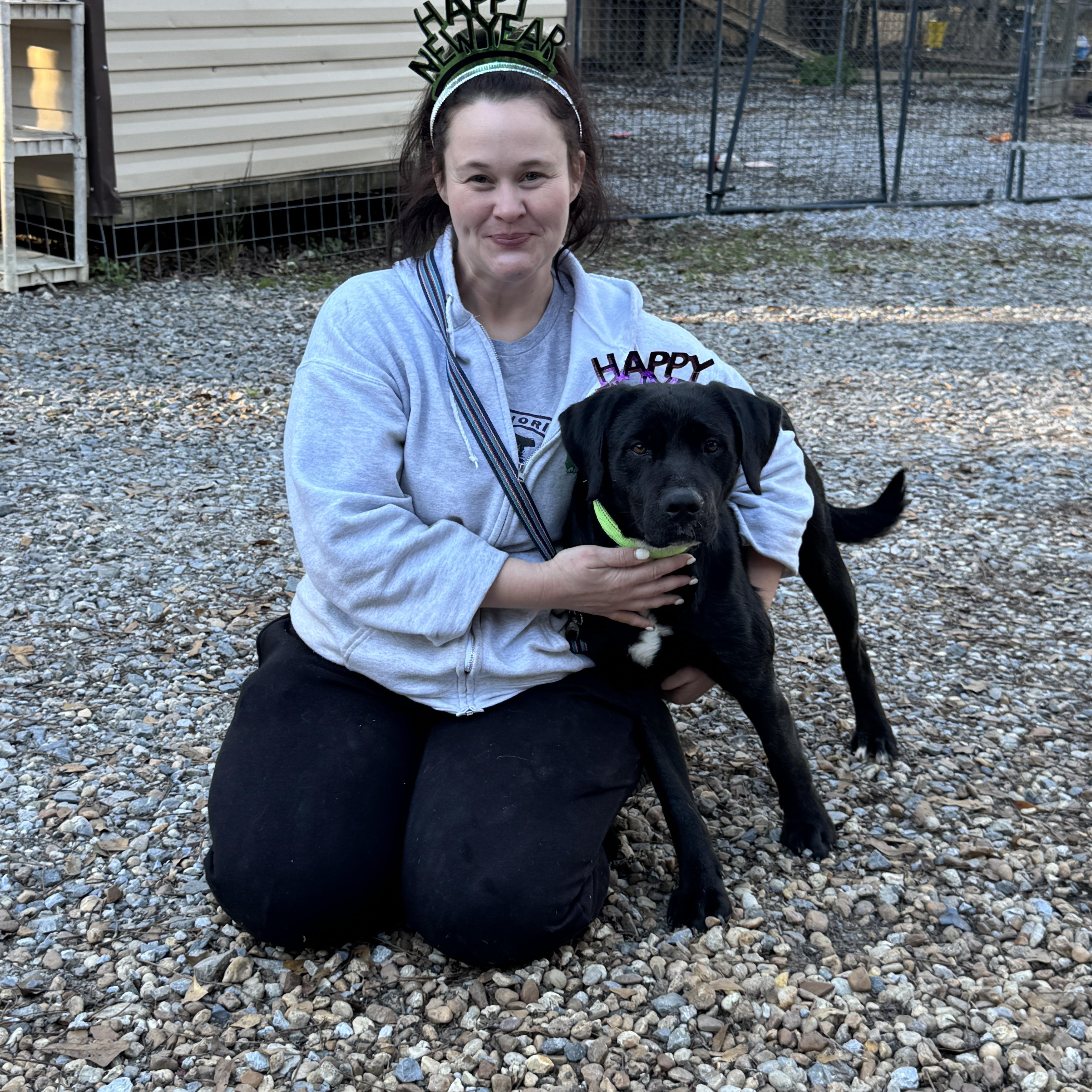 Enlarge Joe (Available in Florida), a Adoptable Mixed Breed in BONIFAY, FL image 4/6