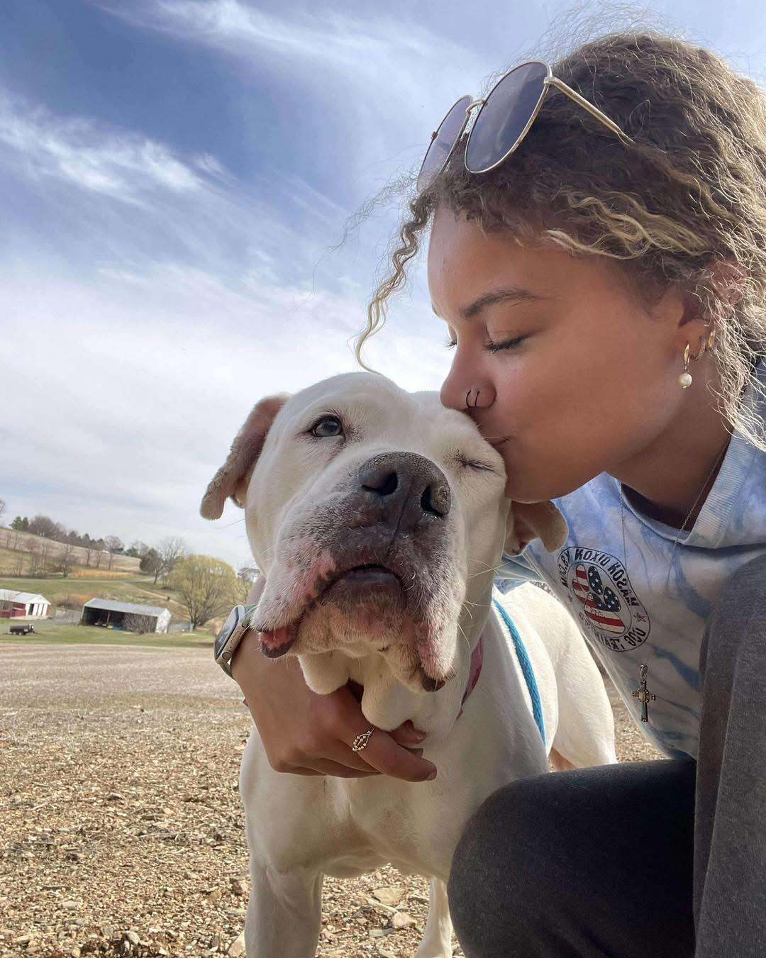 Enlarge Marley, a Adoptable American Bulldog in Parkton, MD image 6/6