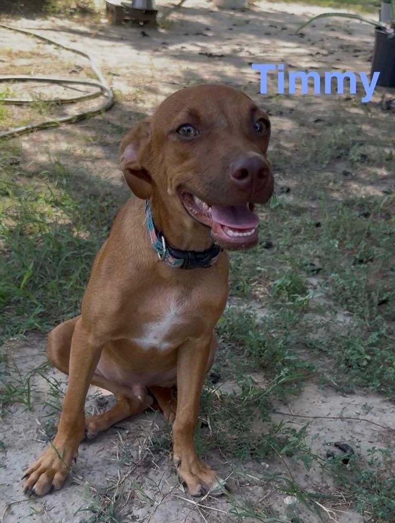 Timmy thumbnail 3