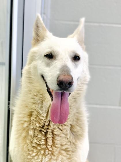 Makarlee (Green) — thumbnail 2