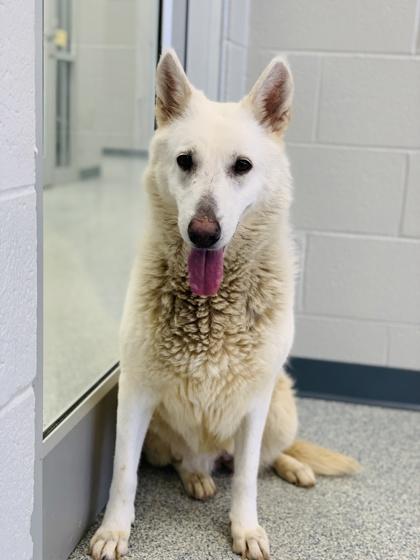 Makarlee (Green) — thumbnail 3