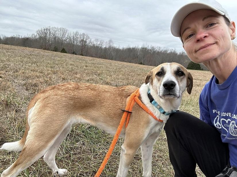 Enlarge LADY, a ADOPTABLE Mixed Breed in Pegram, TN image 1/5