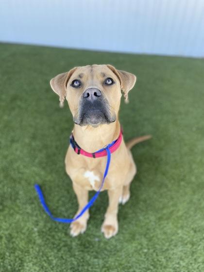 Paulette — thumbnail 2