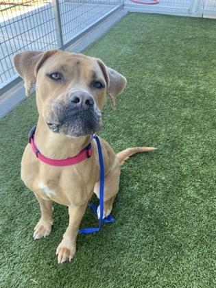 Paulette — thumbnail 3