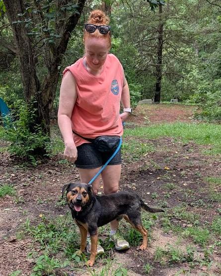 Enlarge Buddy - AVAILABLE TO FOSTER OR ADOPT, a ADOPTABLE mixed breed in Clayton, NC image 4/6