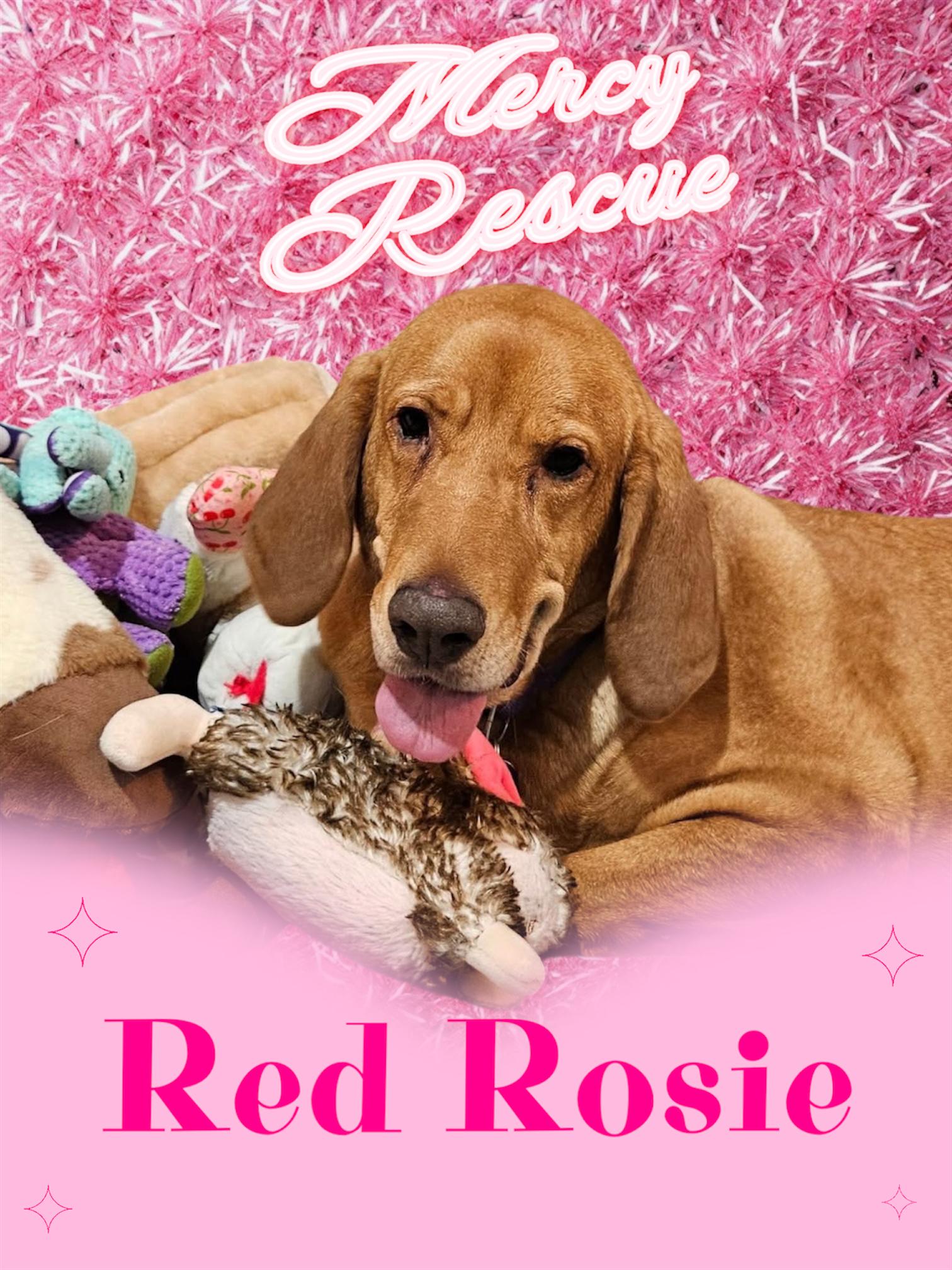 Red Rosie thumbnail 2