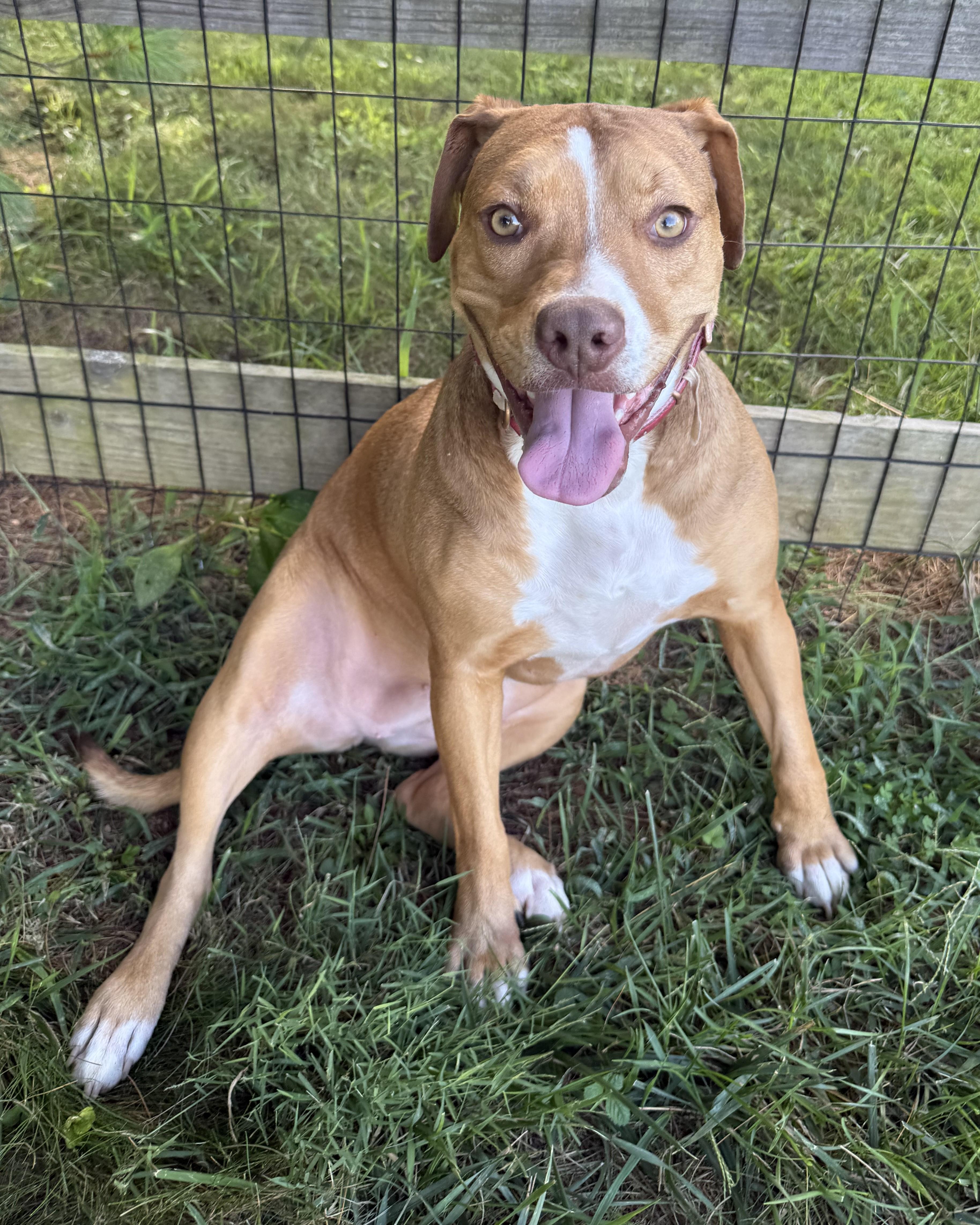 Minnie -- Courtesy Post