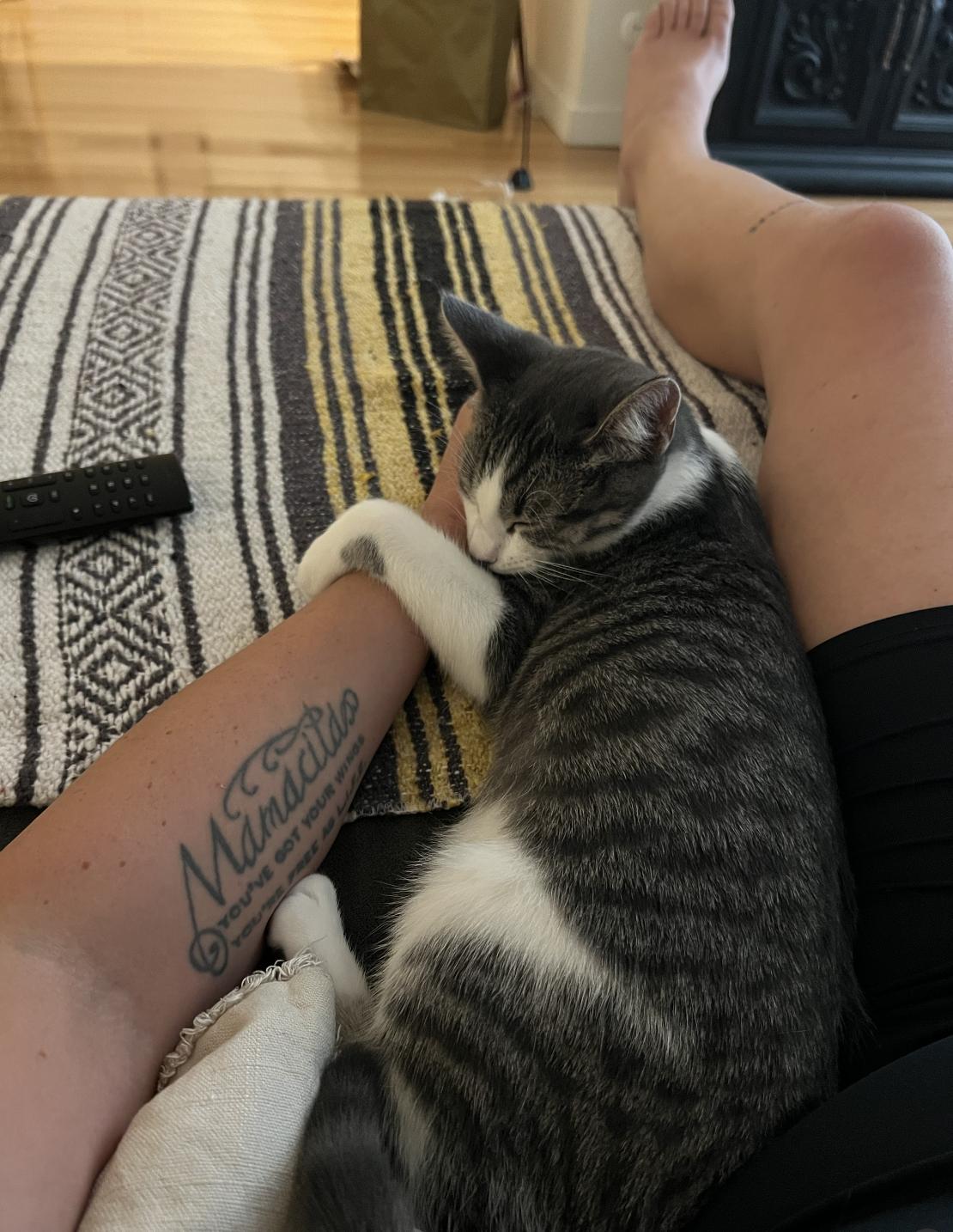 Pearl, a Adoptable mixed breed in Beverly Hills, CA image 2/4