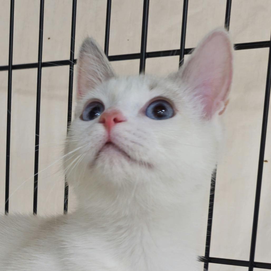 Berry — thumbnail 2