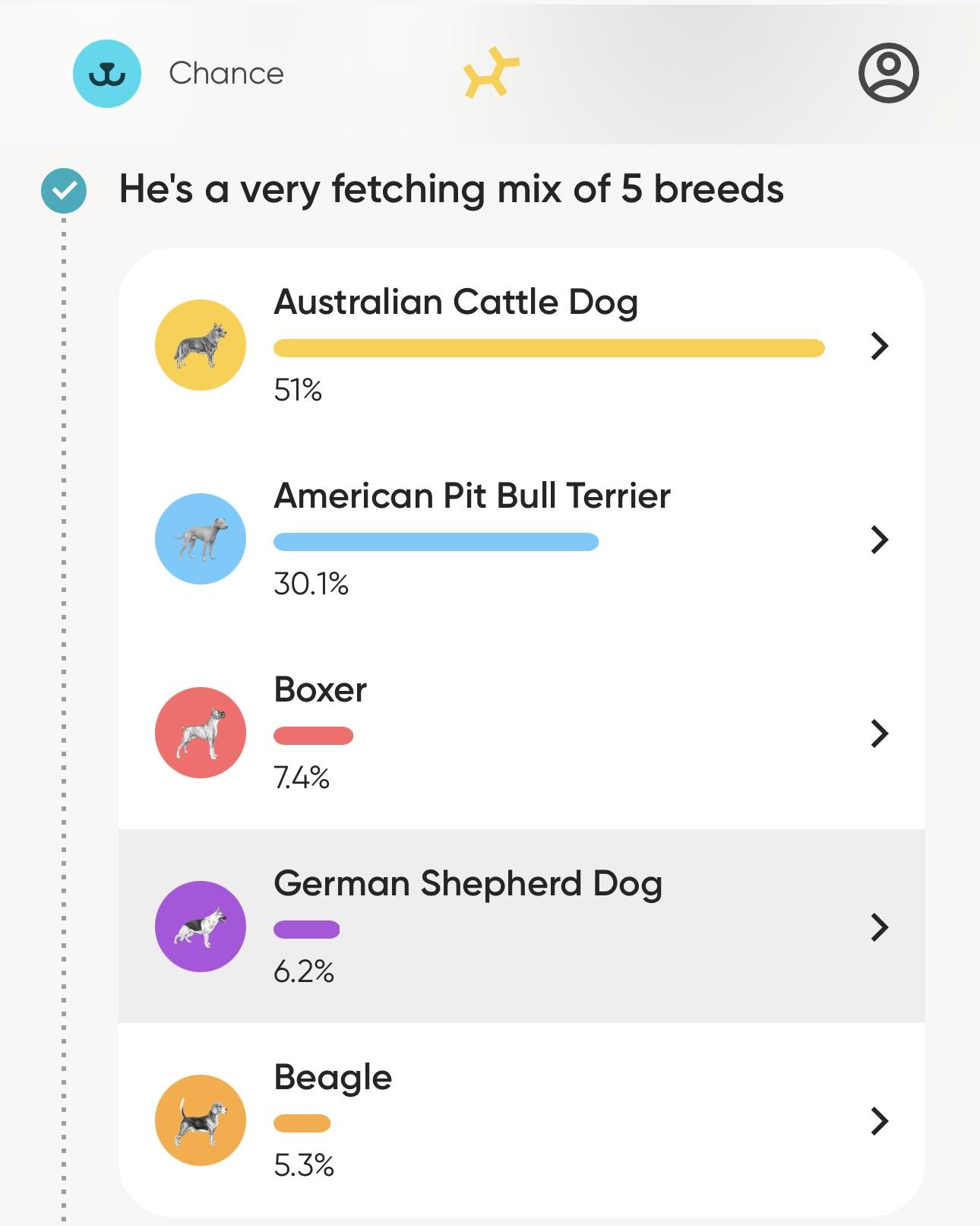 Chance, an adopted mixed breed in Kalamazoo , MI image 5/6