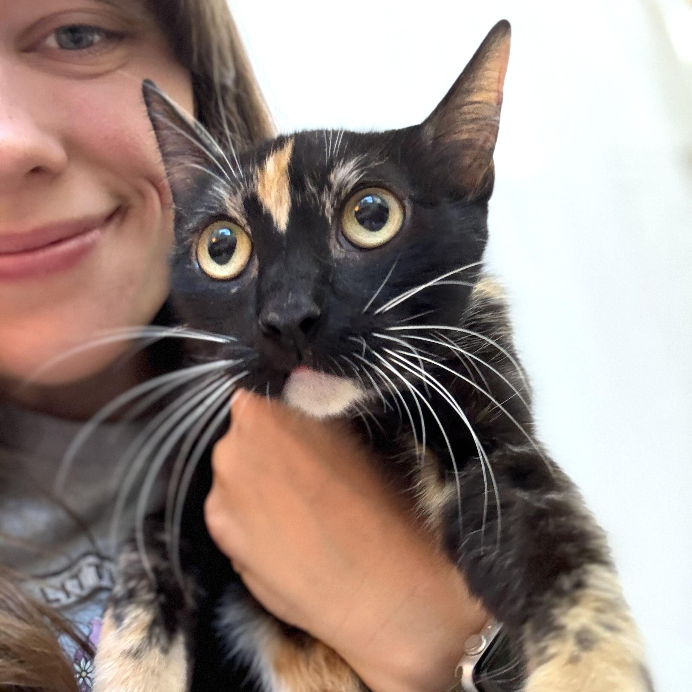 Sugar Pereira — thumbnail 5