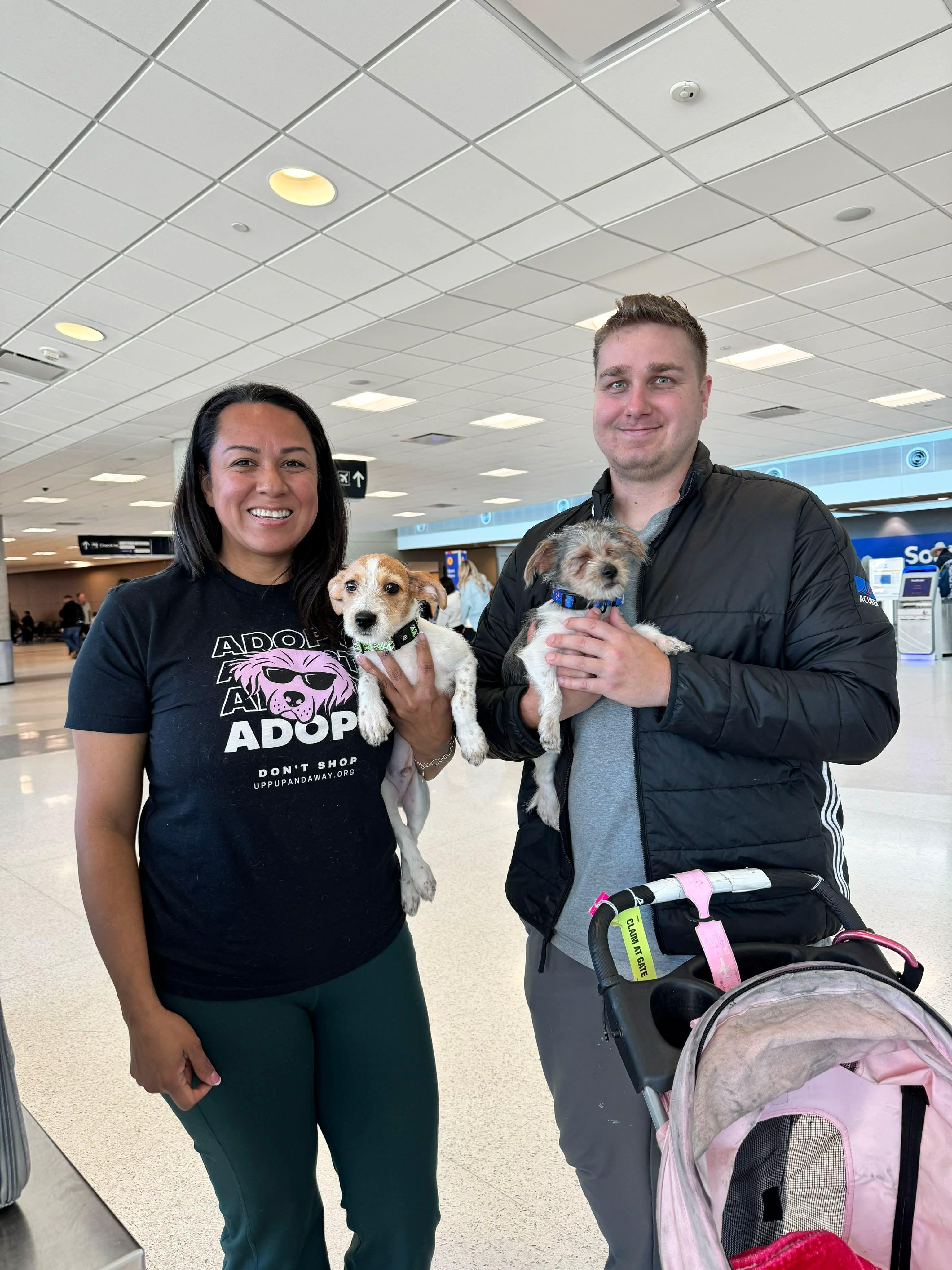 Enlarge Gus, a ADOPTABLE mixed breed in Commerce City, CO image 5/6