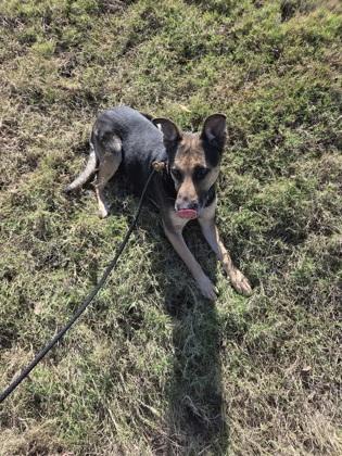 Missy — thumbnail 2