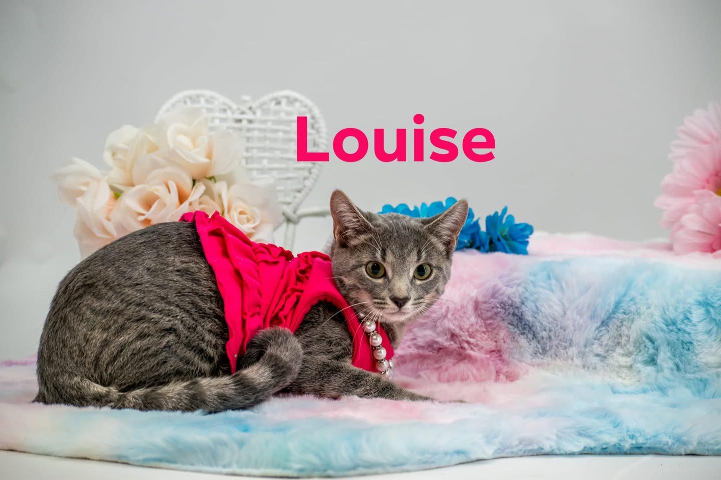 Louise