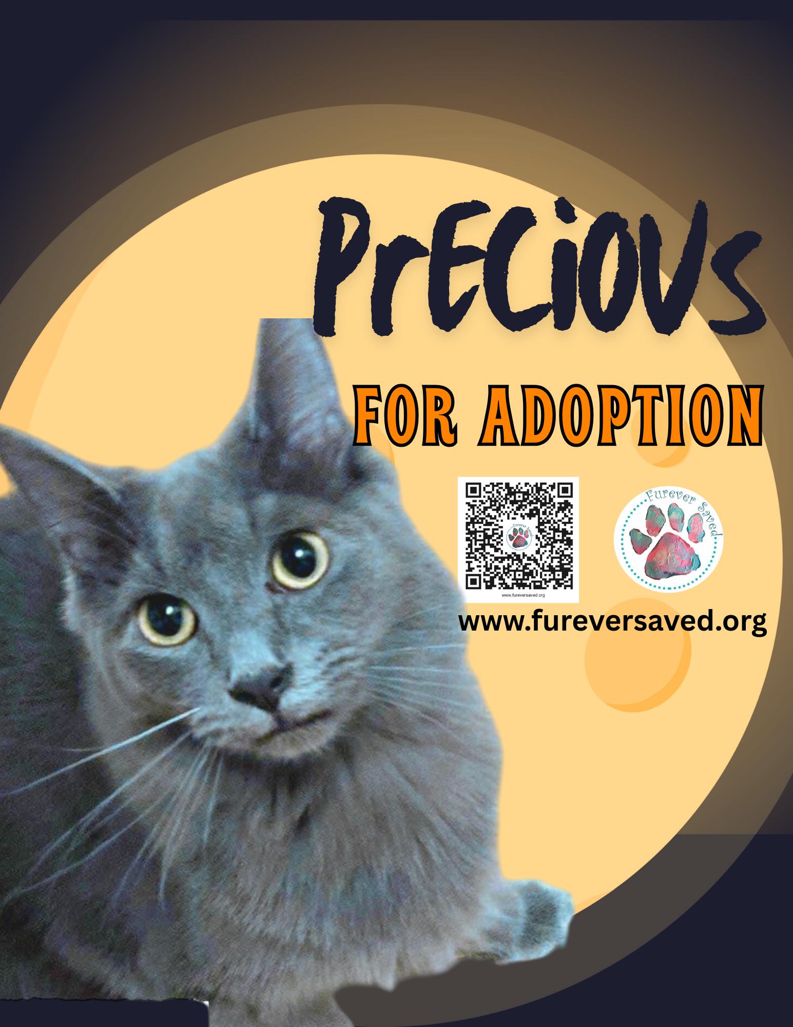 Precious thumbnail 5