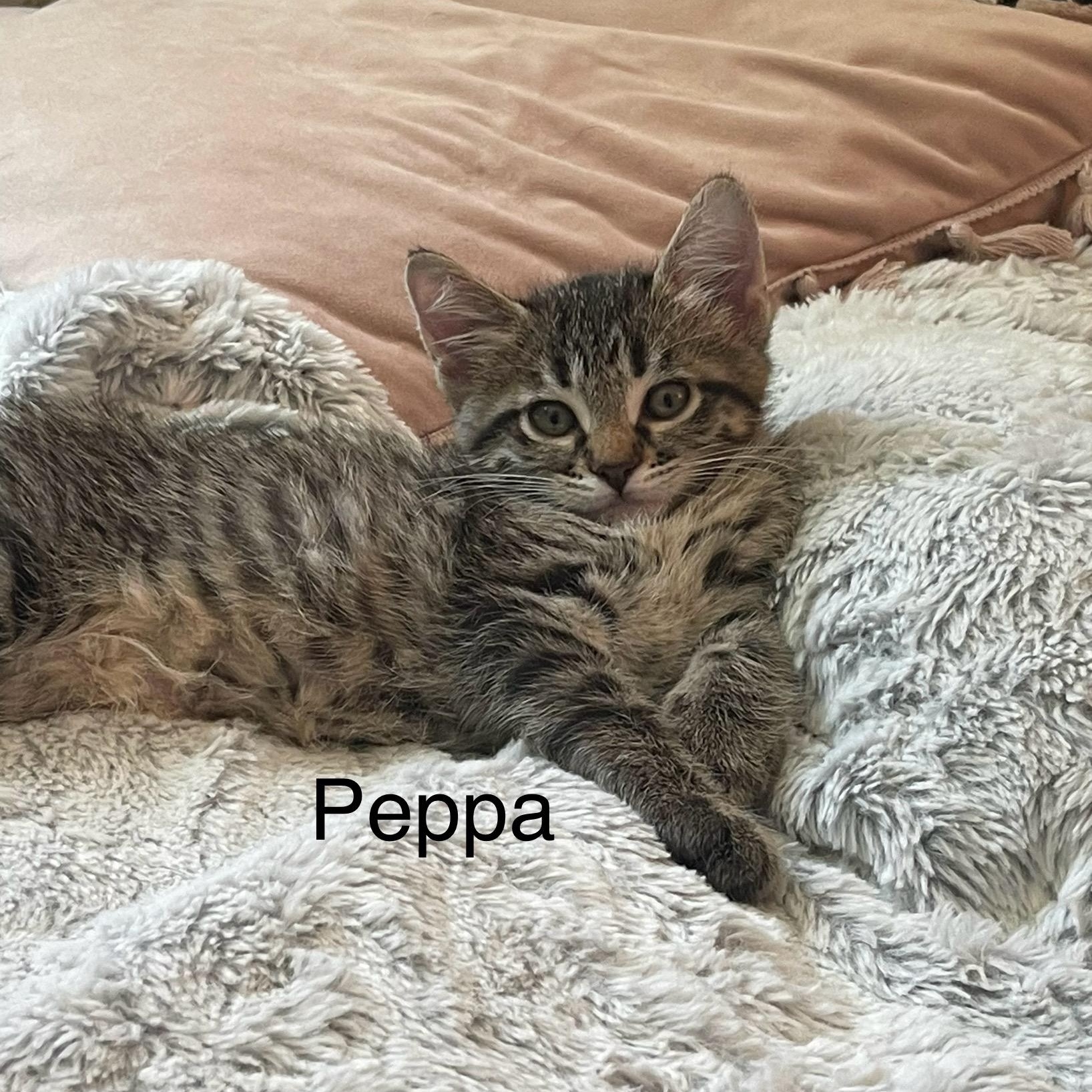 Peppa