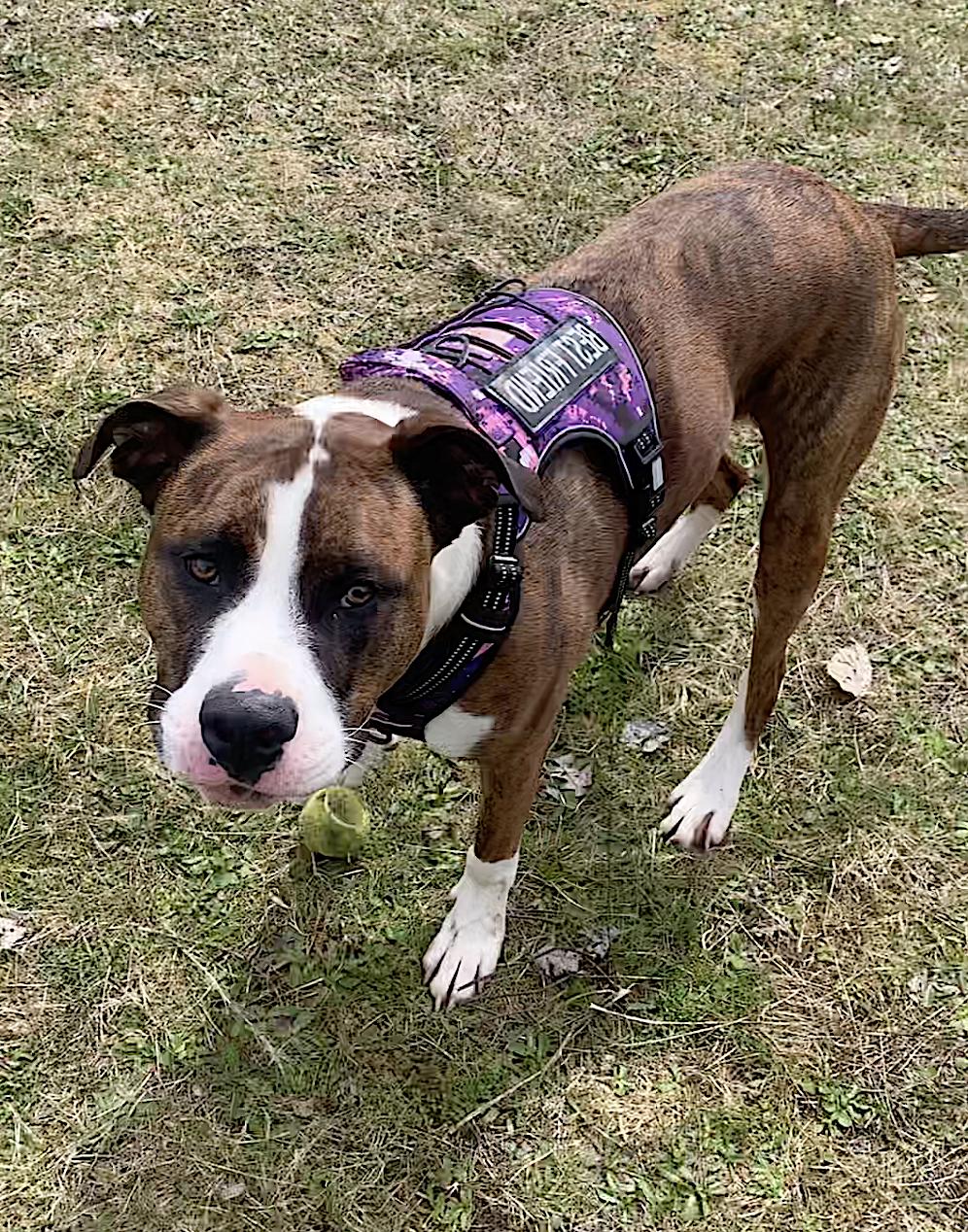 Yuli — thumbnail 3