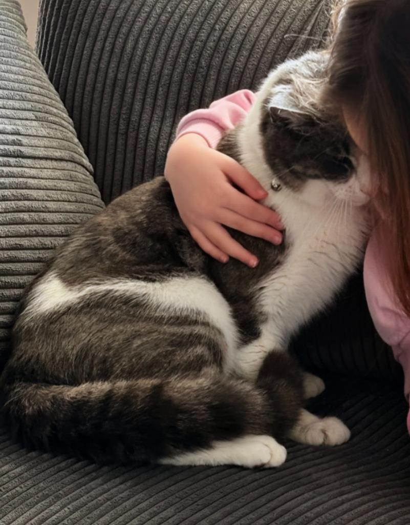 Bunny, a Adoptable mixed breed in Evans, GA image 1/2