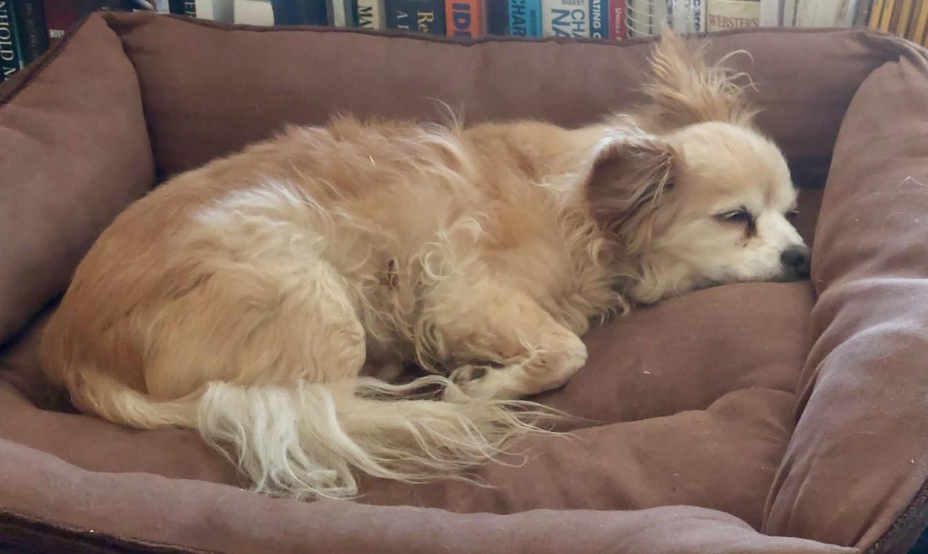 TIPPY — thumbnail 3