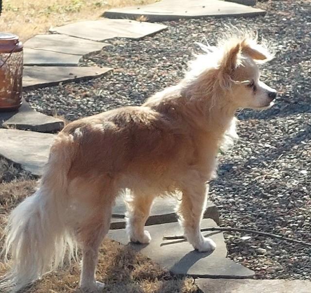 TIPPY — thumbnail 6