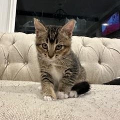 Sprout