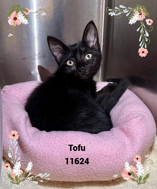TOFU