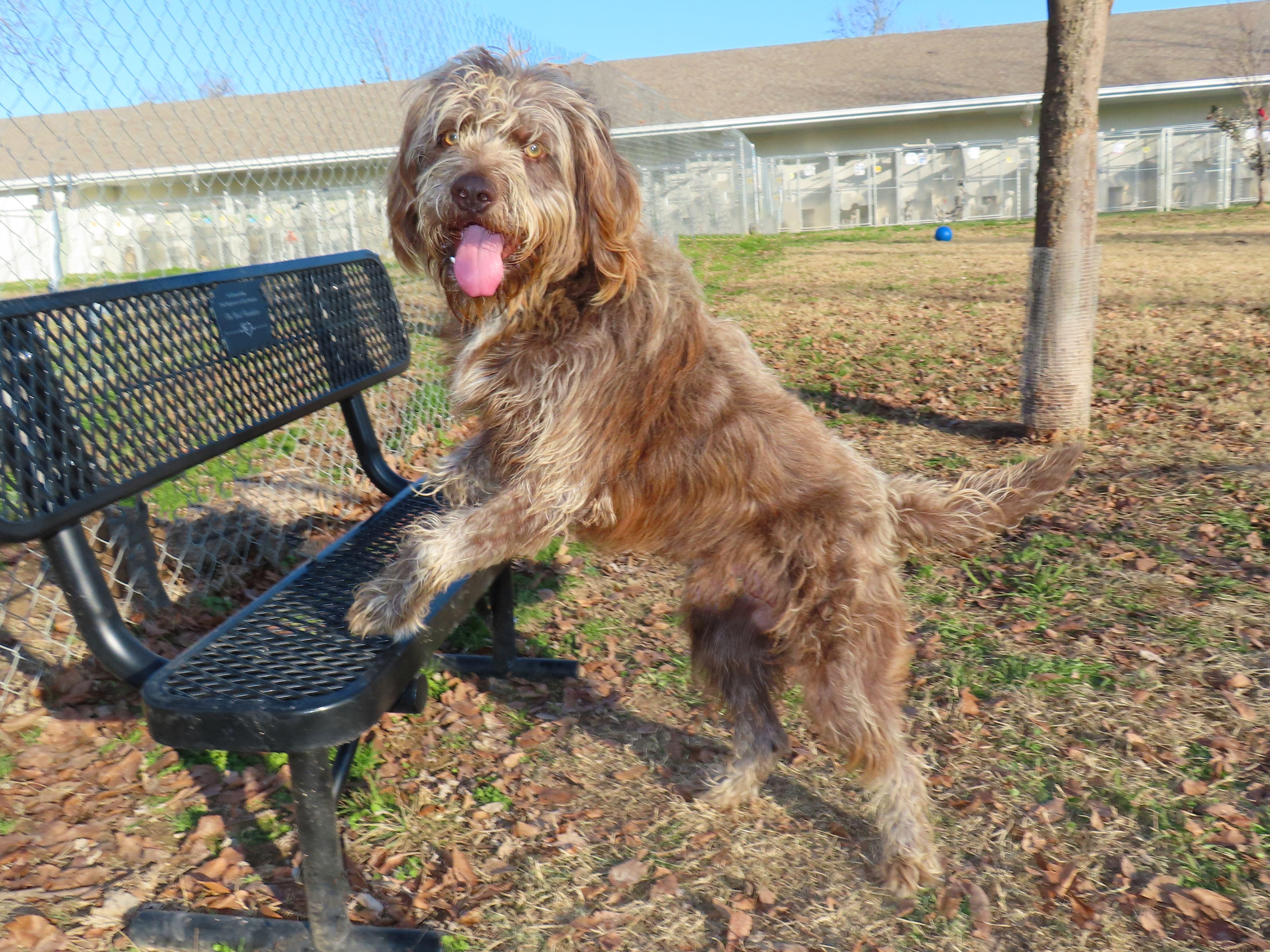 Spicoli  C thumbnail 2