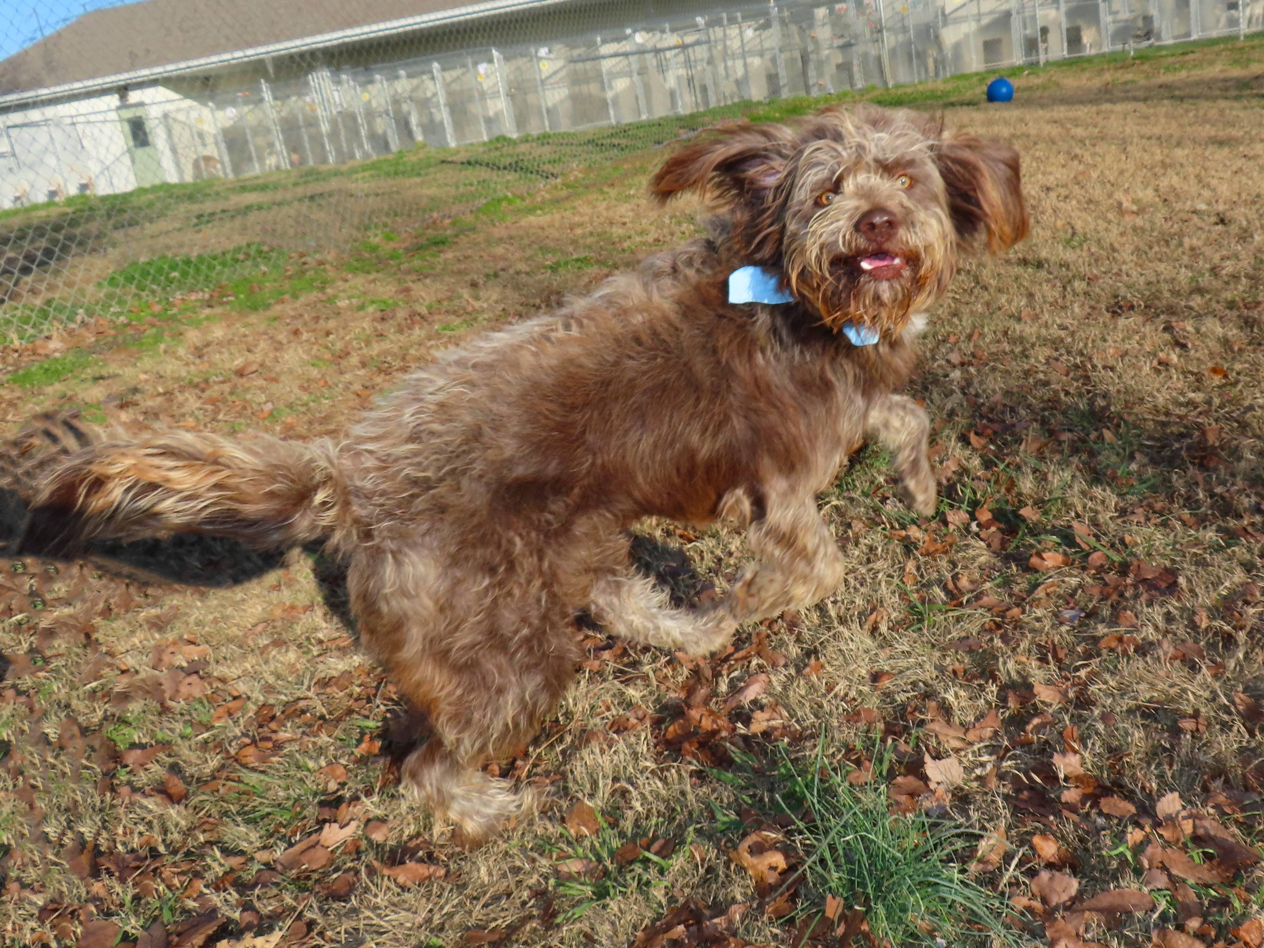 Spicoli  C thumbnail 3