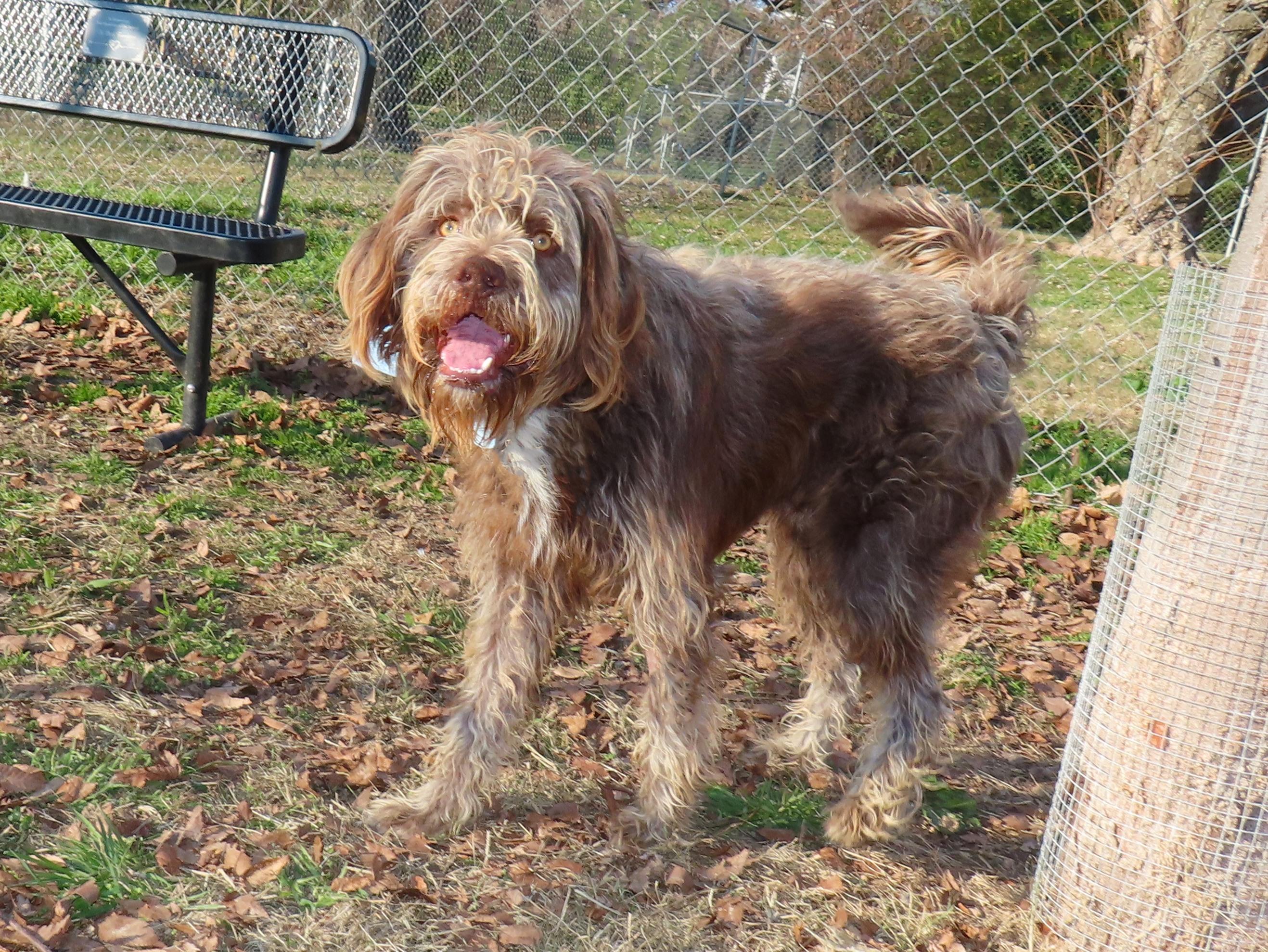 Spicoli  C thumbnail 5