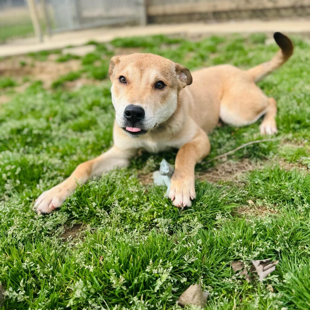 Sullivan — thumbnail 2