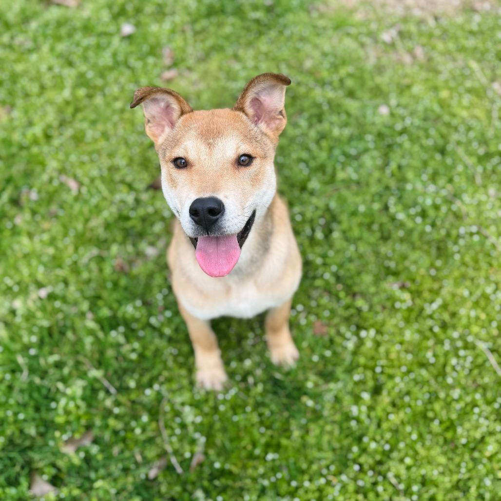 Sullivan — thumbnail 5