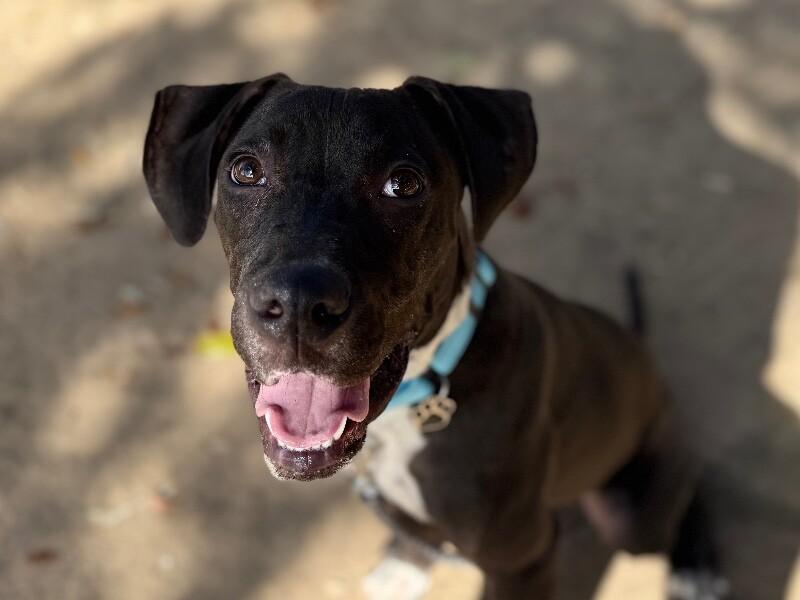 Happy Hanky Wiggles of Joy — thumbnail 5