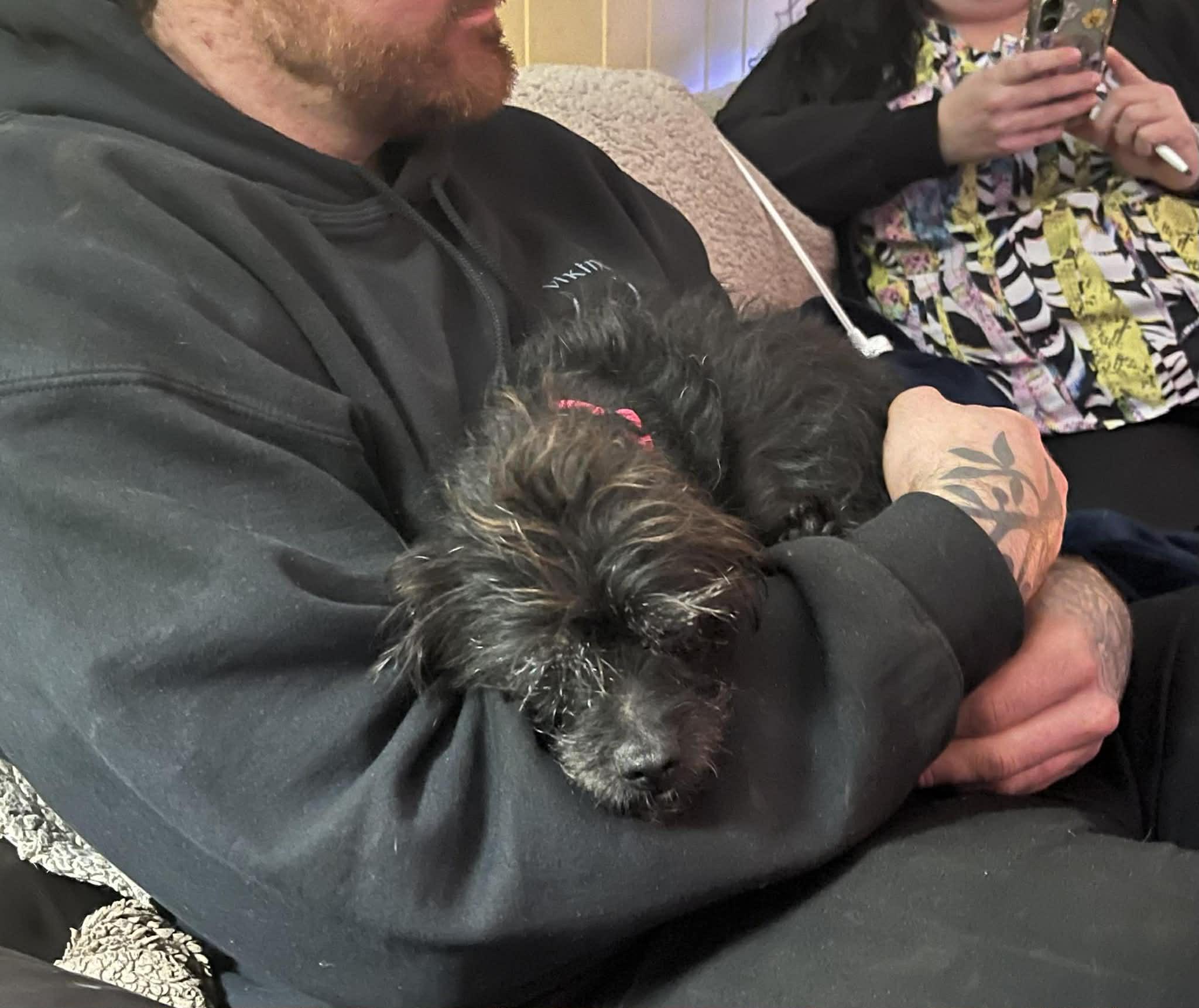 Tally (a very special senior), an adopted mixed breed in Middletown, CT image 5/6