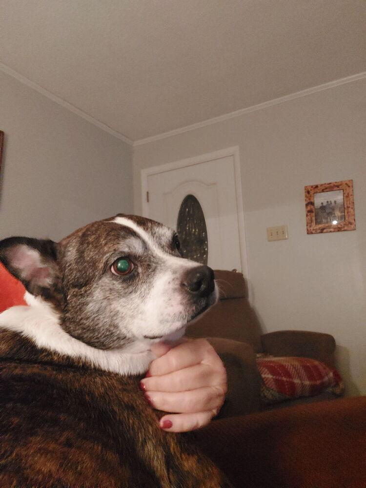 Rocky Wisdom Crossville  thumbnail 3