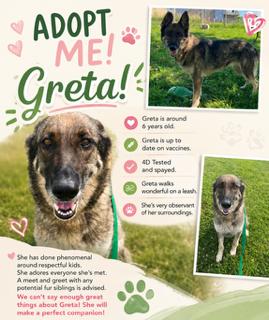 Greta, a ADOPTABLE German Shepherd Dog in Sulphur, KY image 5/5