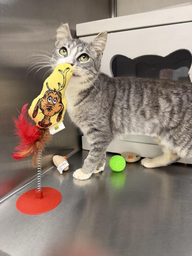 Pawnee — thumbnail 4