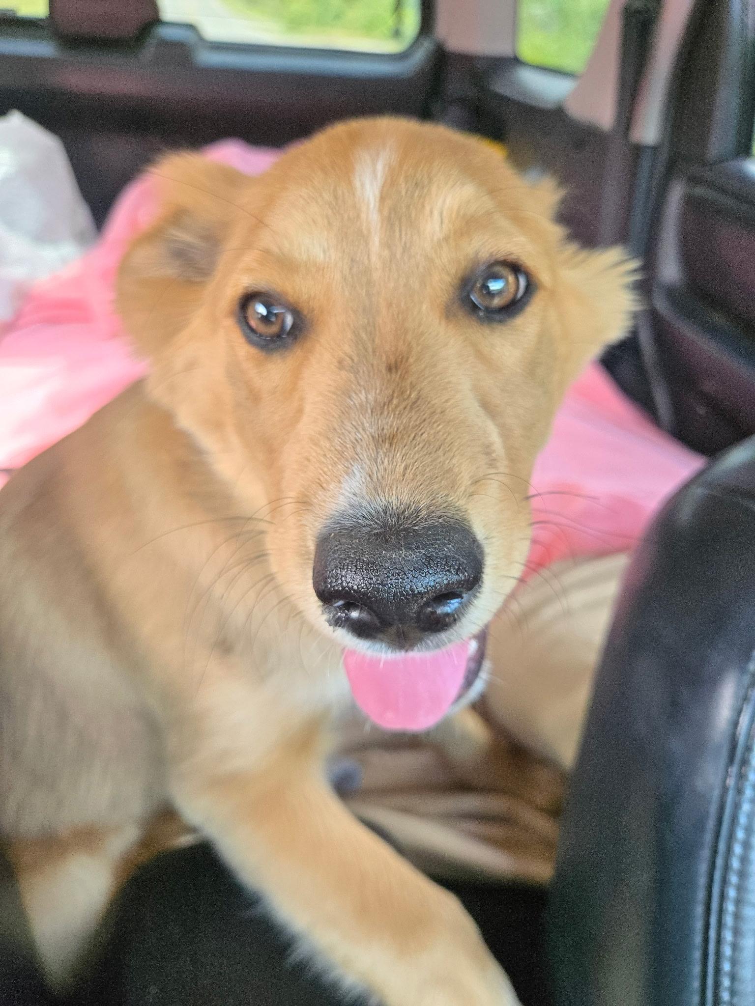 Zeus