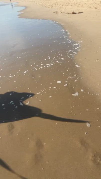 Enlarge QUEEN, a Adoptable mixed breed in El Segundo, CA video 5/5