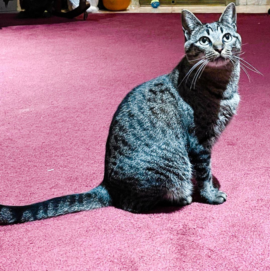 Mia