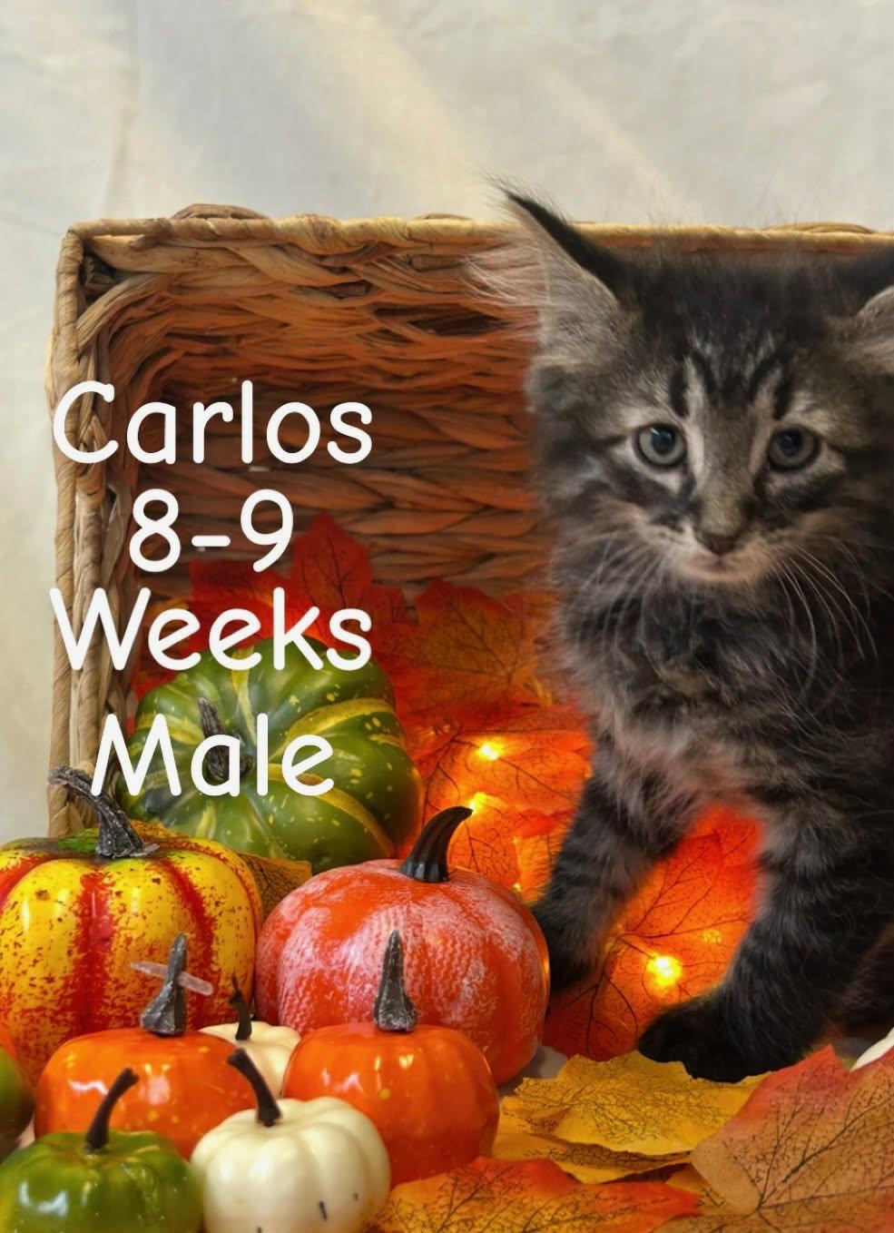 Carlos