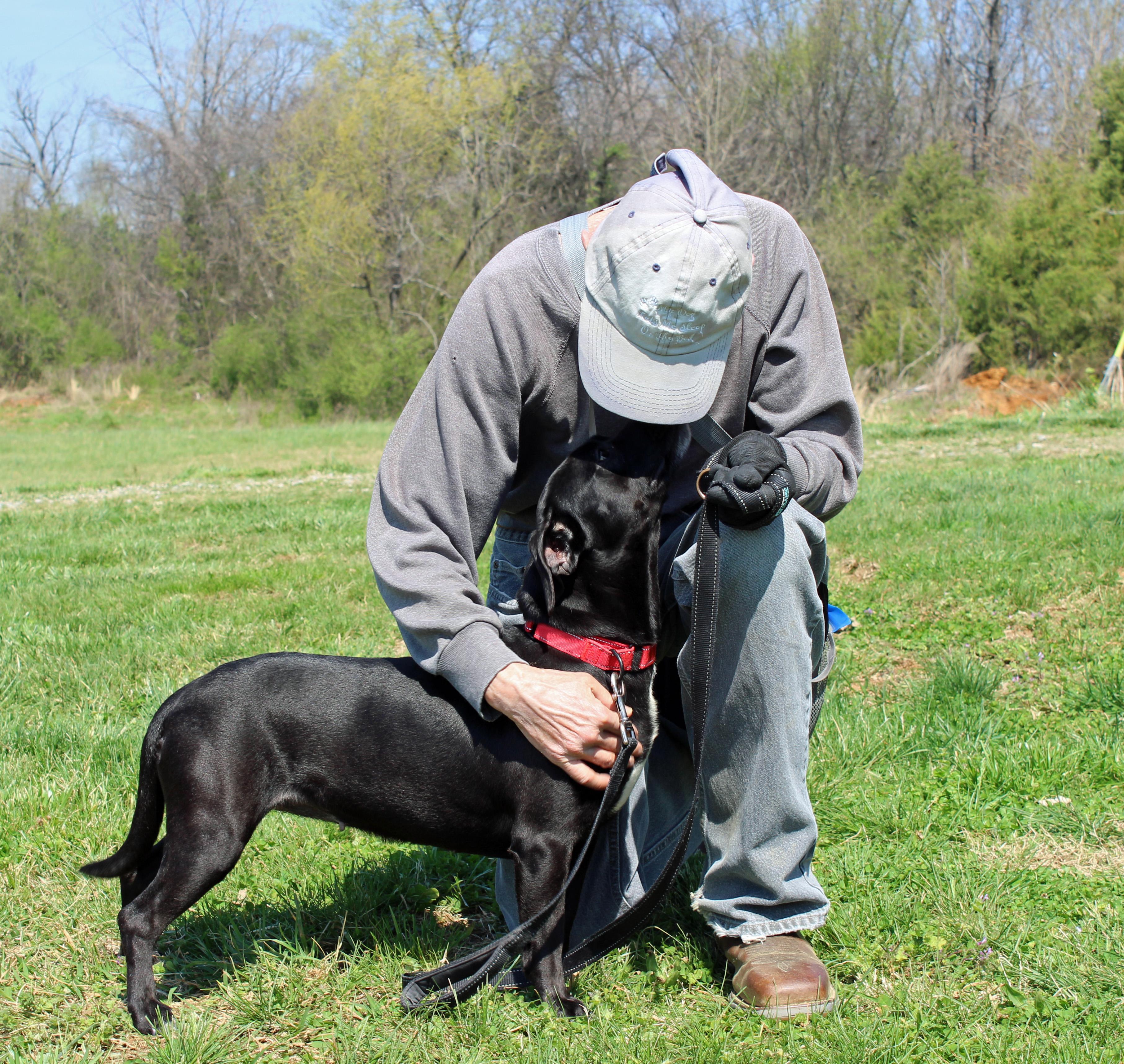 Enlarge Wiggly, an adopted mixed breed in Lebanon, TN image 6/6