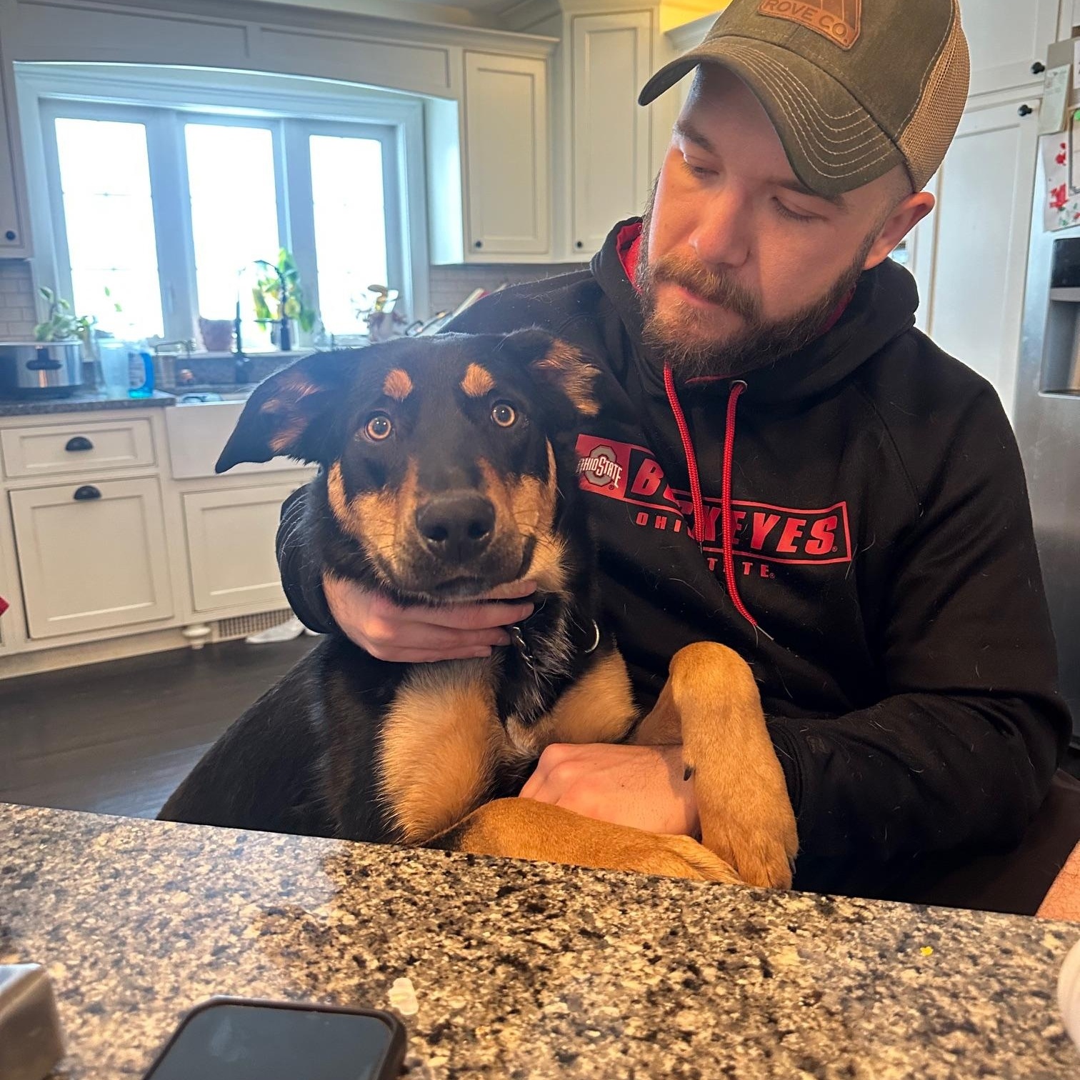 Chadwick, a ADOPTABLE mixed breed in St Marys, OH image 4/5