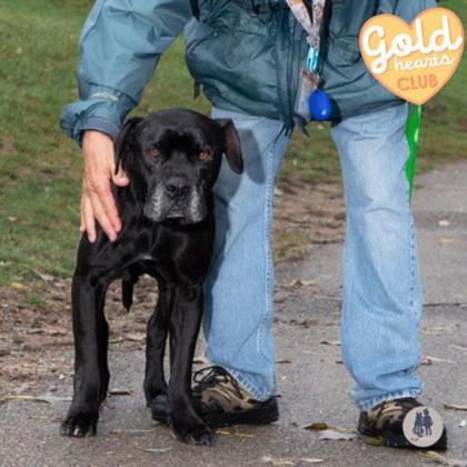 Stan — thumbnail 5