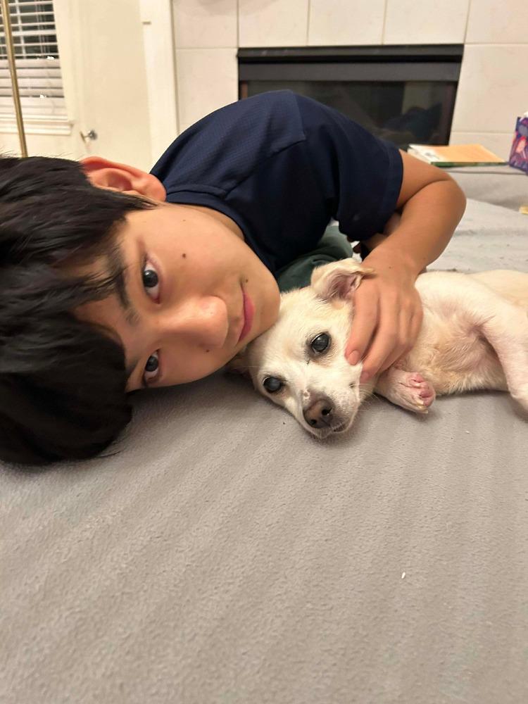 Enlarge Mariah, a Adoptable mixed breed in Saugus, MA image 2/6