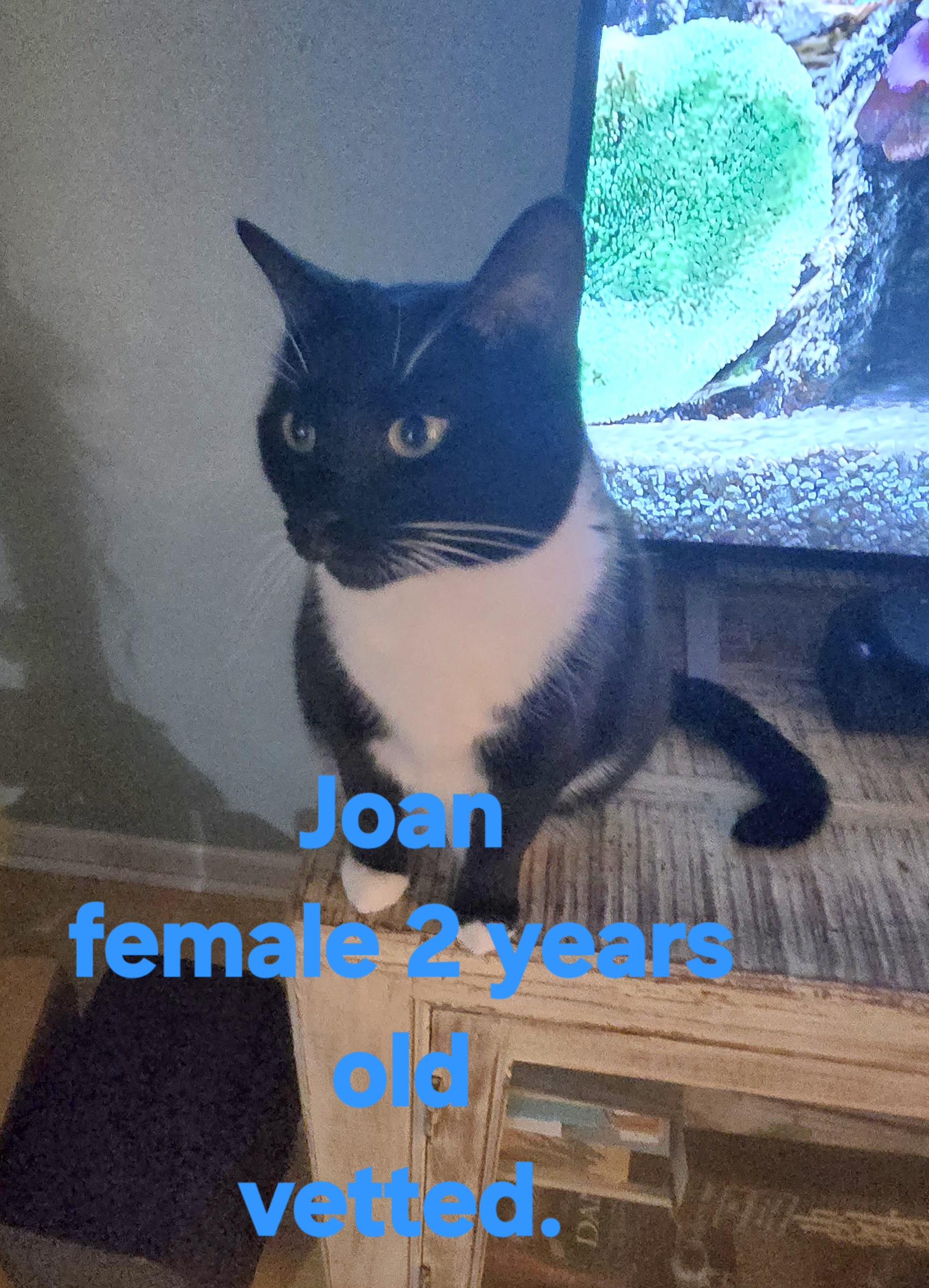 Joan