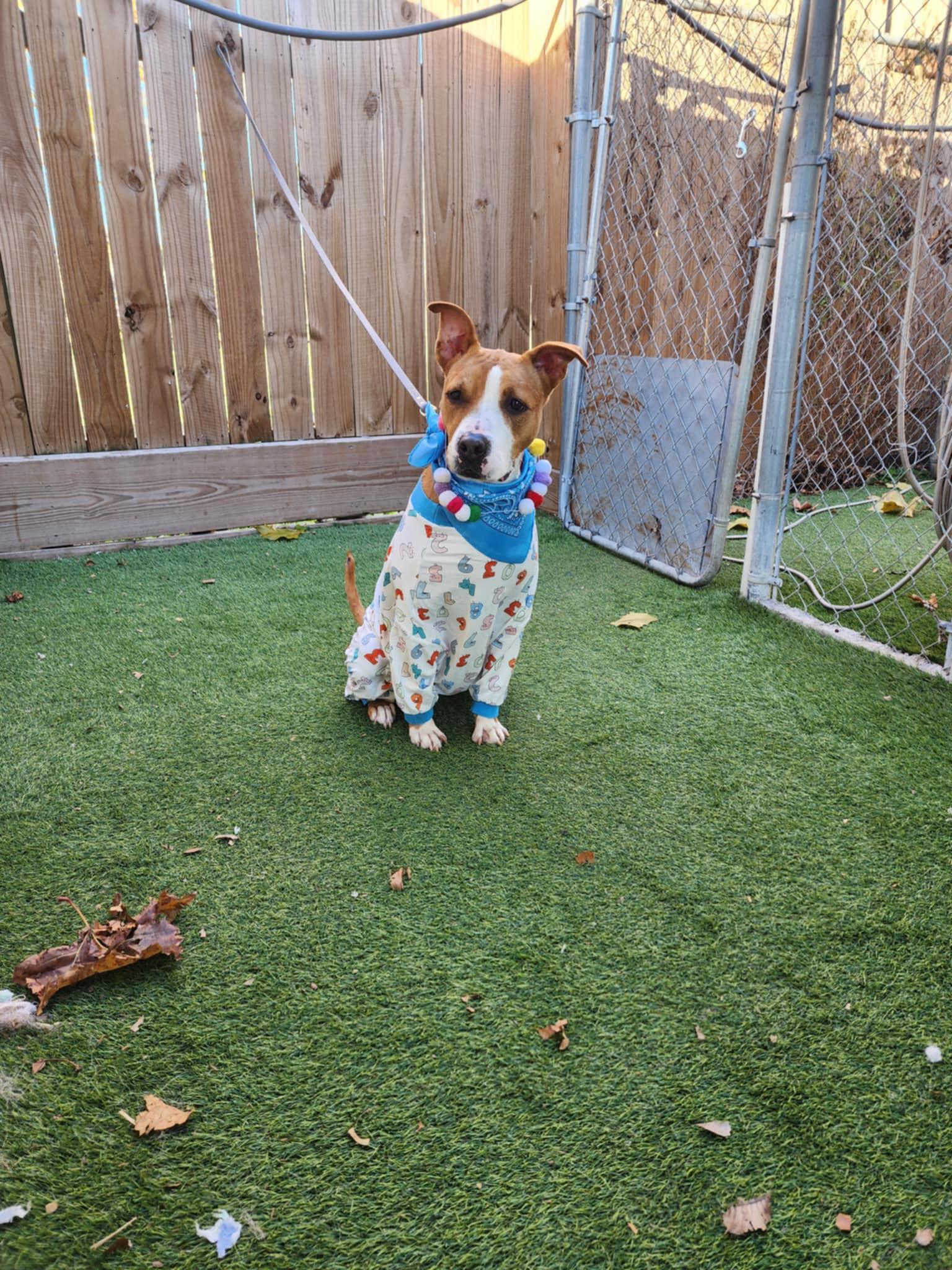 Delanie — thumbnail 6