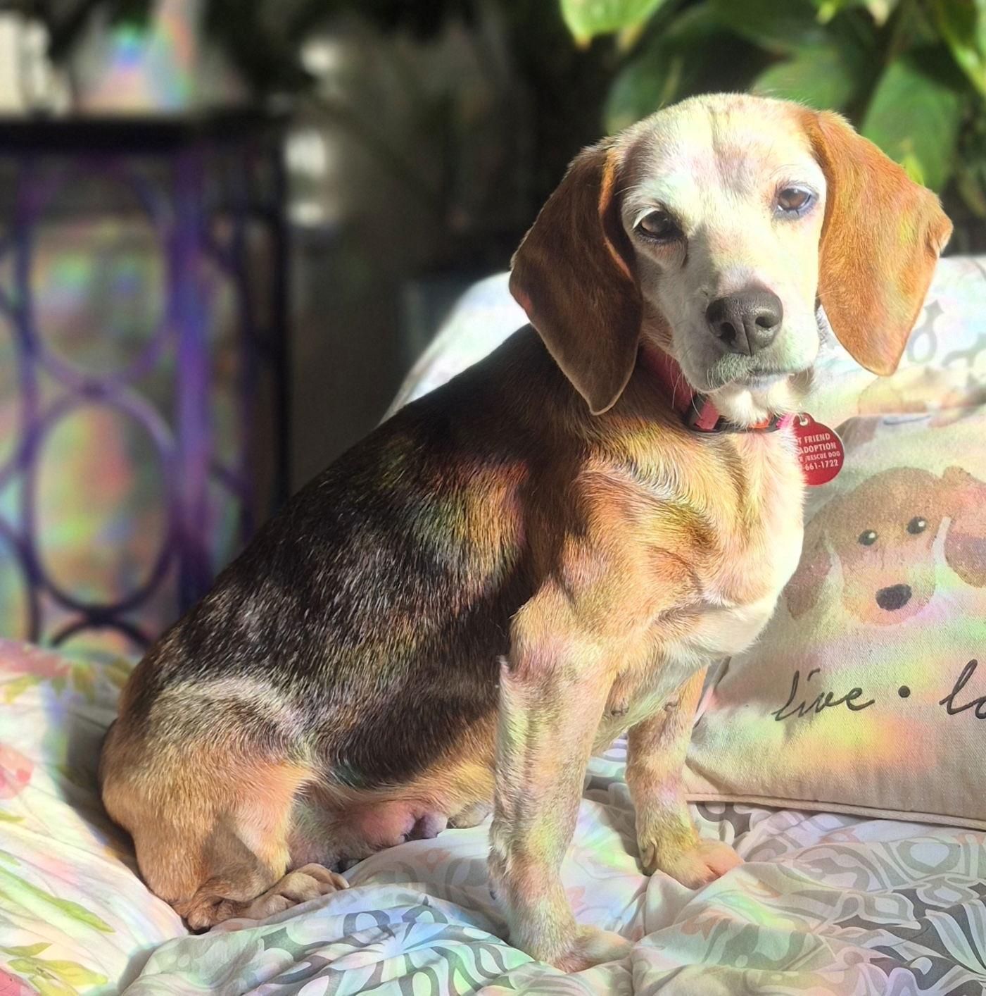 Martha — thumbnail 3