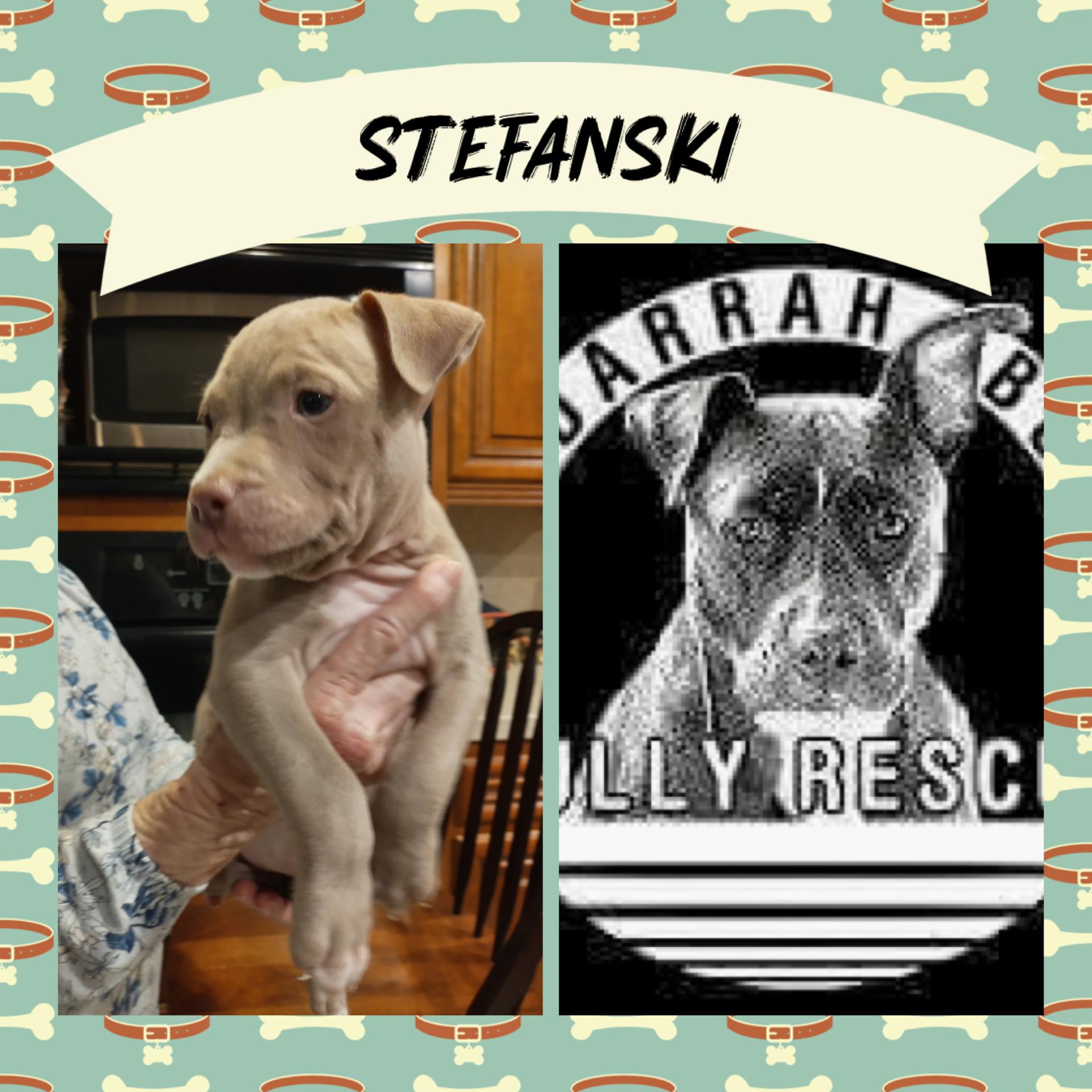 Stefanski
