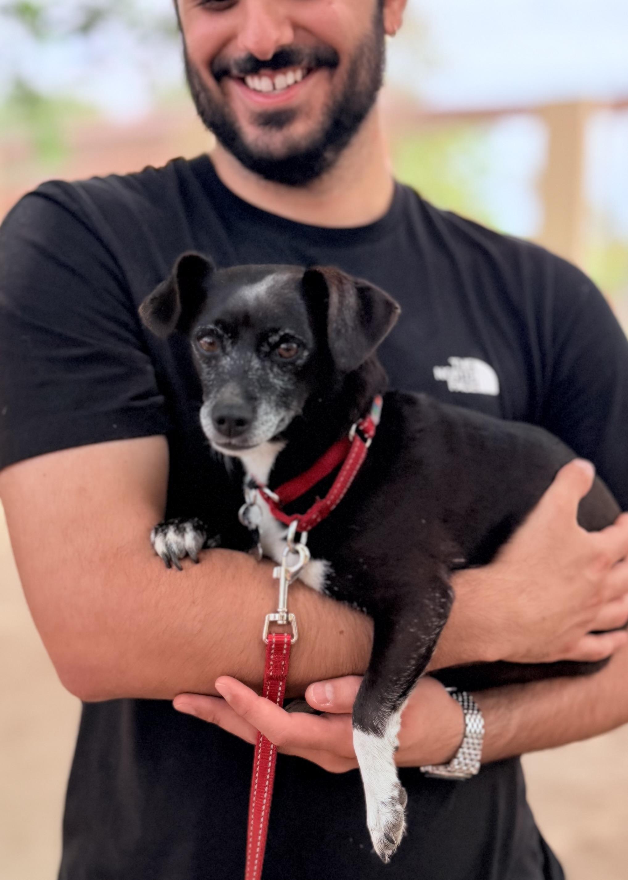 Pepper, a ADOPTABLE mixed breed in Thousand Oaks, CA image 3/6